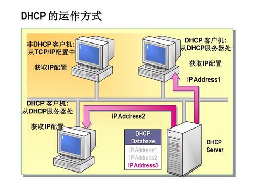 dhcp是什么意思？dhcp服务器是什么？DHCP服务器的功能和作用xx