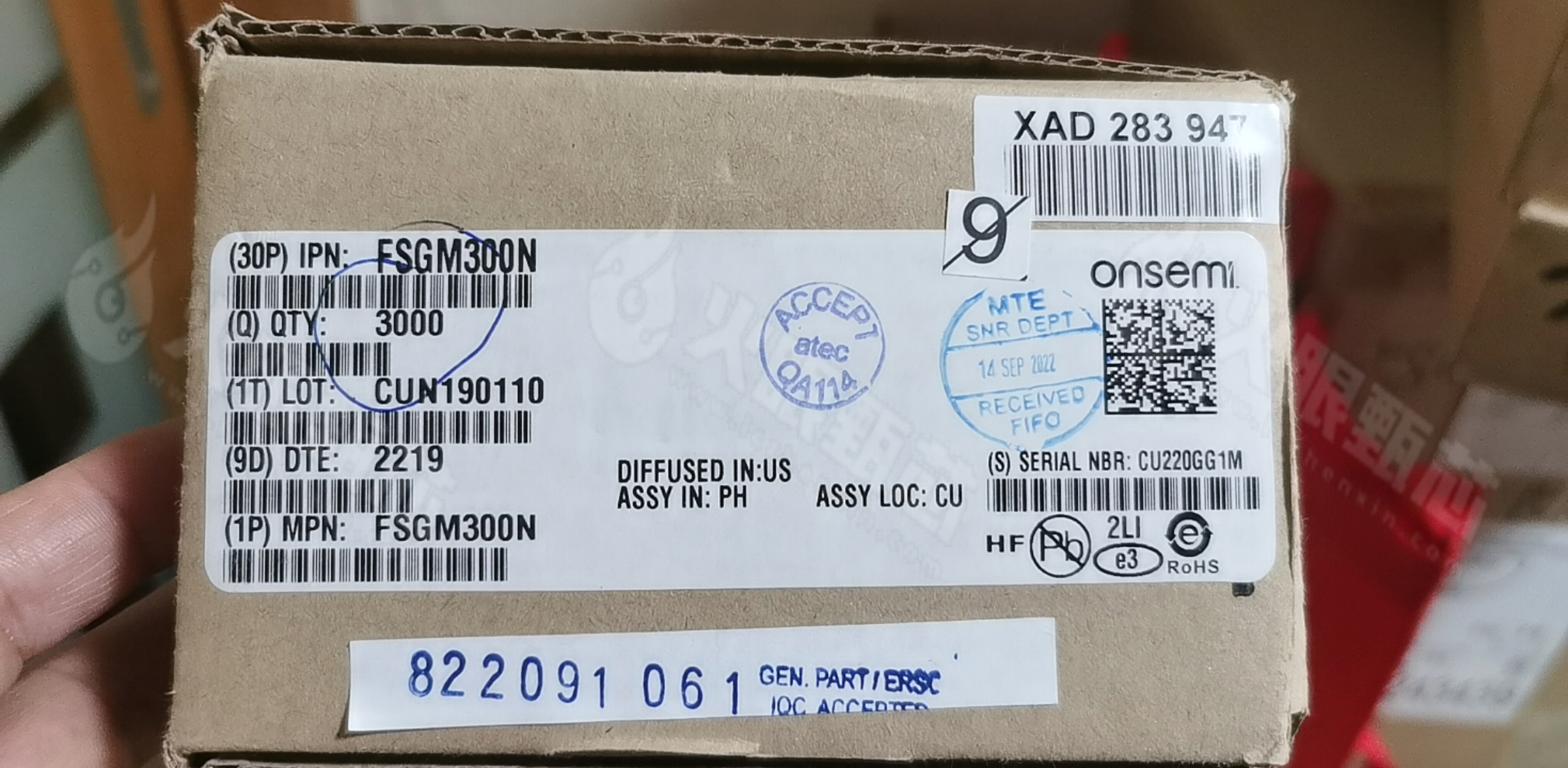 FSGM300N