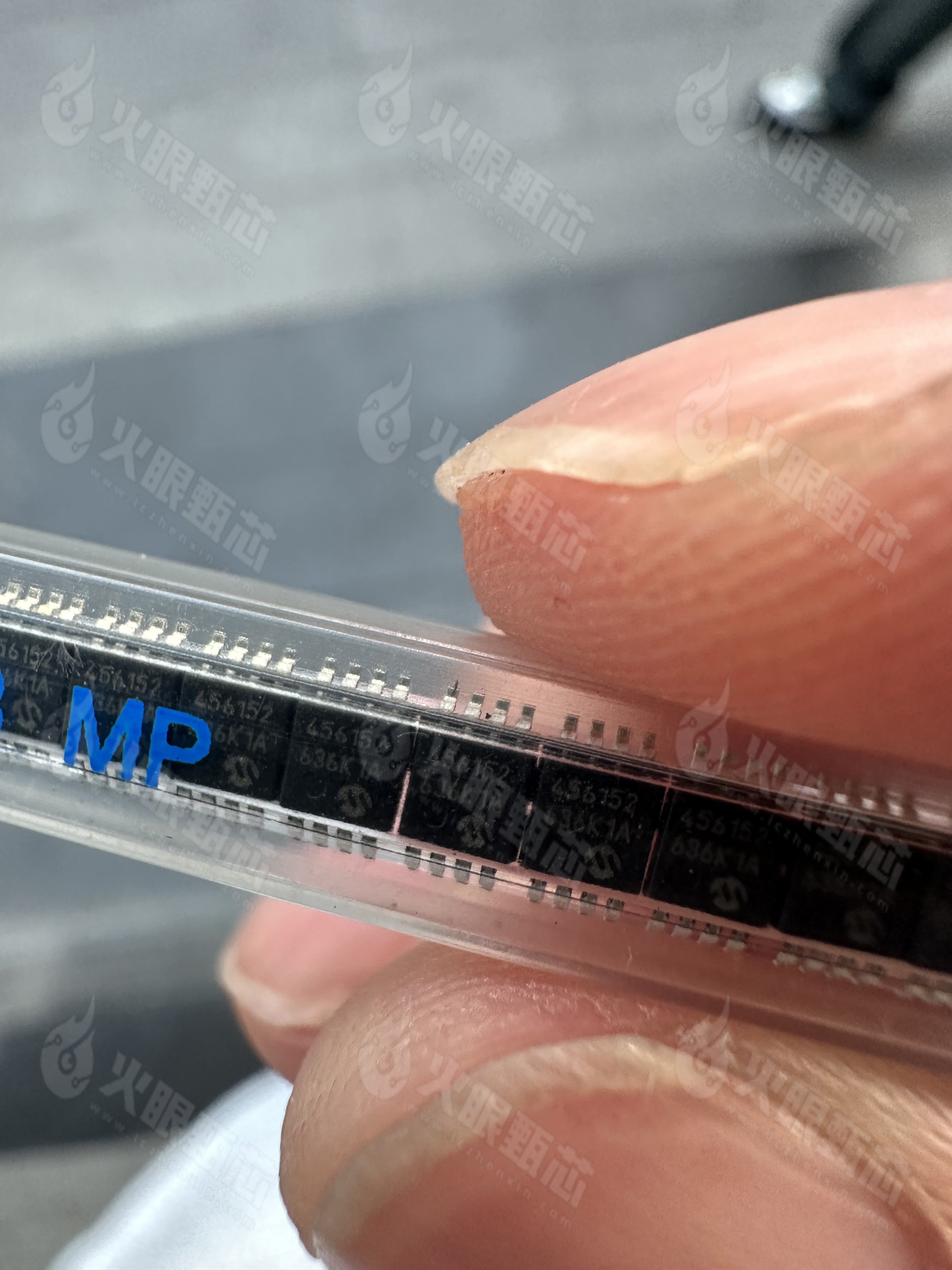 MCP4561-502E/MS