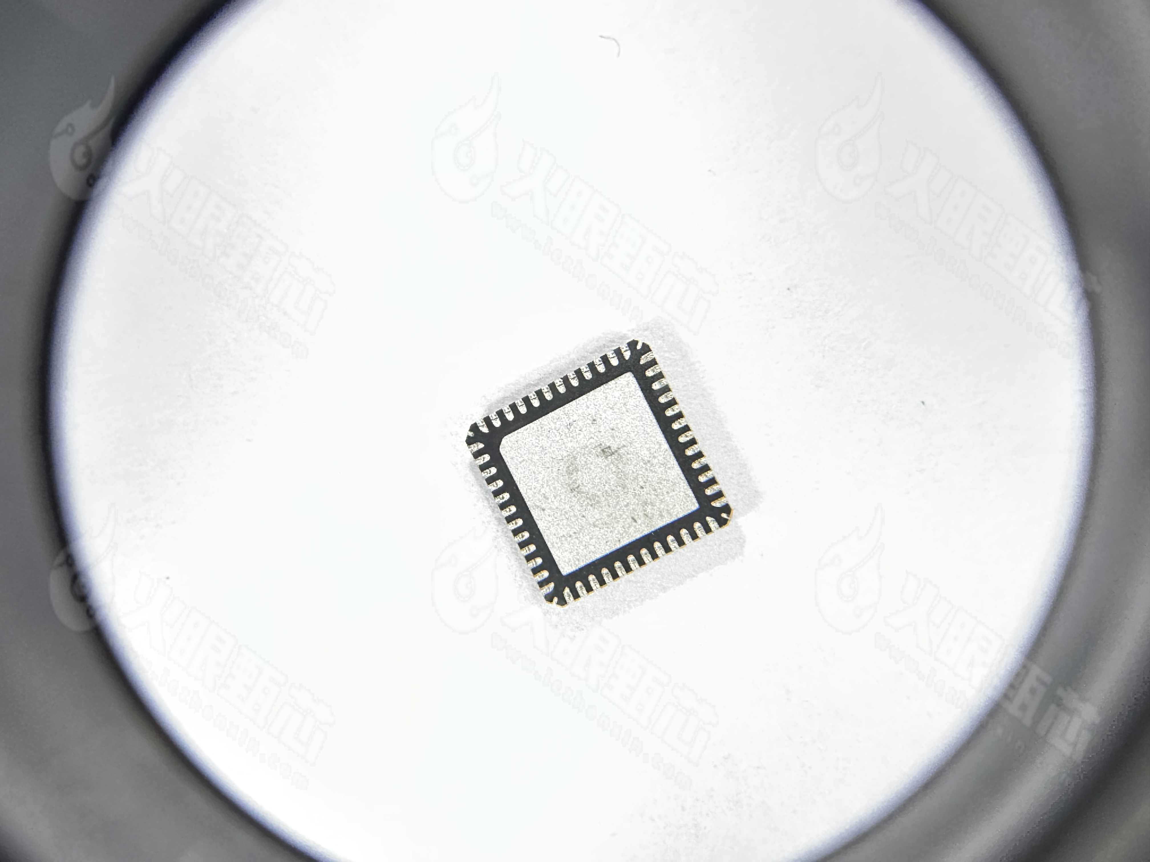 TLF35584QVVS2