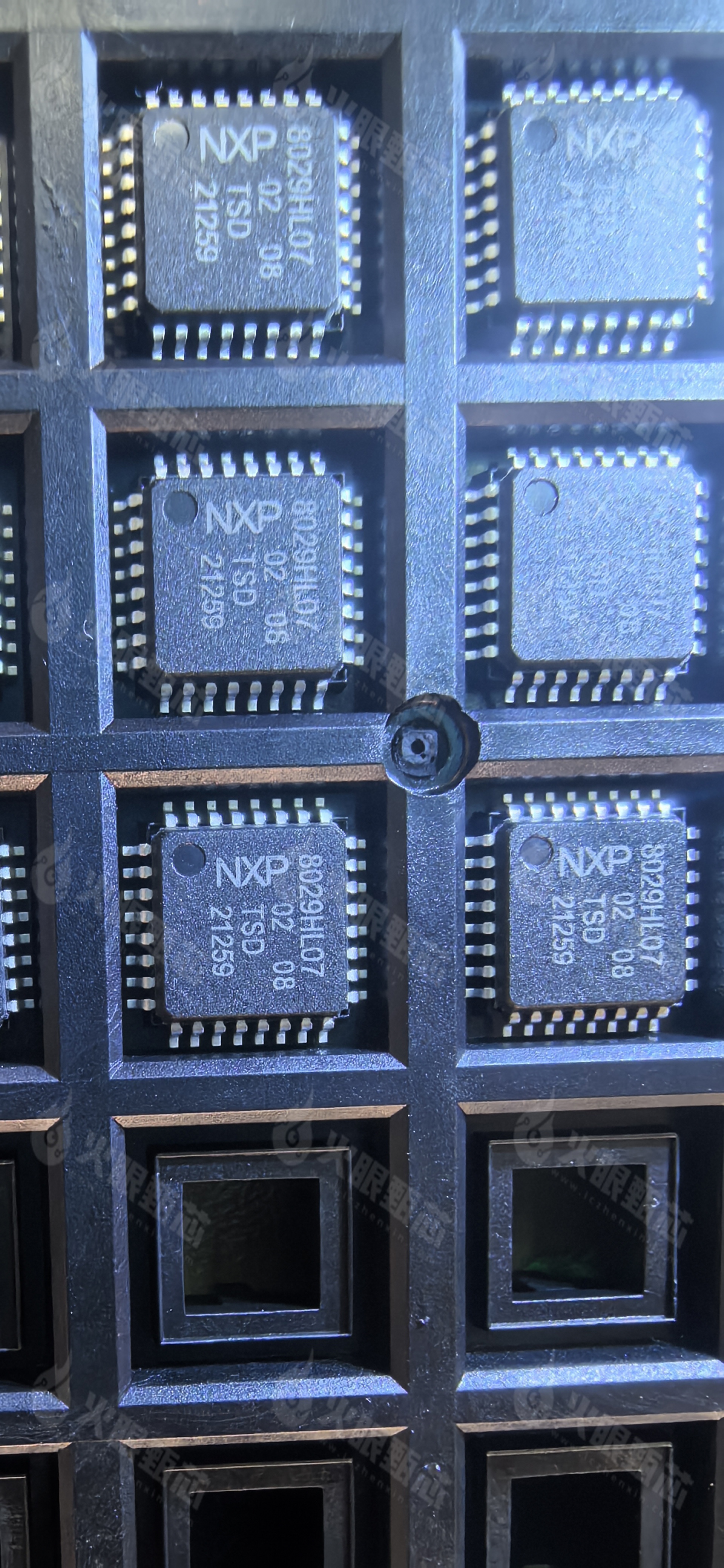 TDA8029HL
