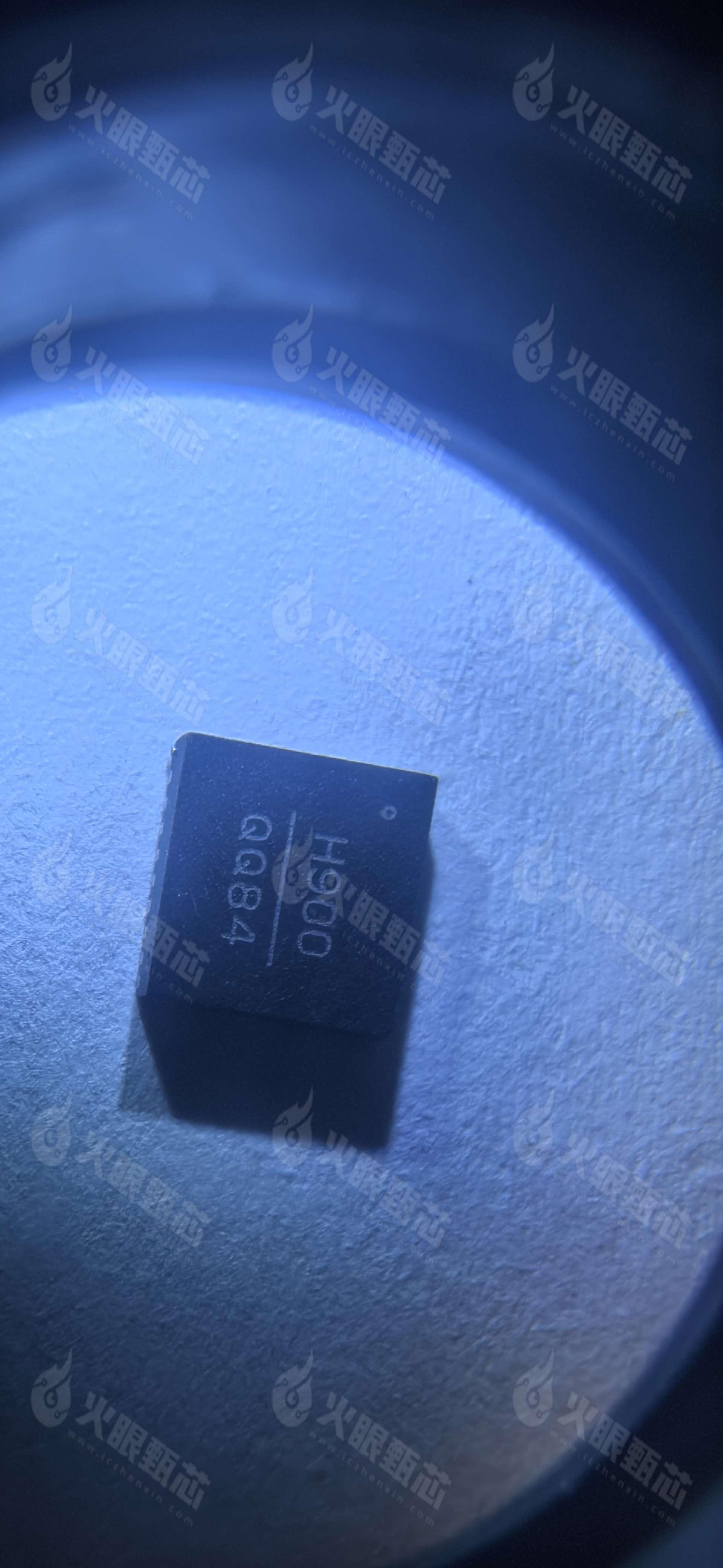HMC900LP5E