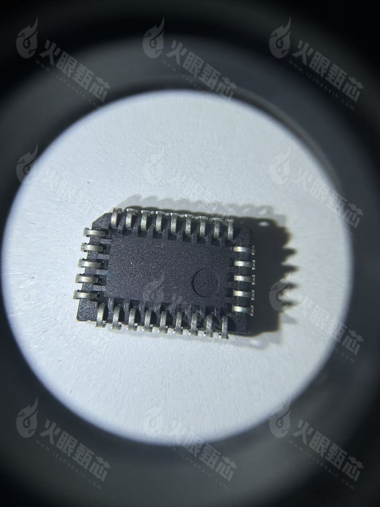 SAE81C91-NE13 SAE81C91-NE13