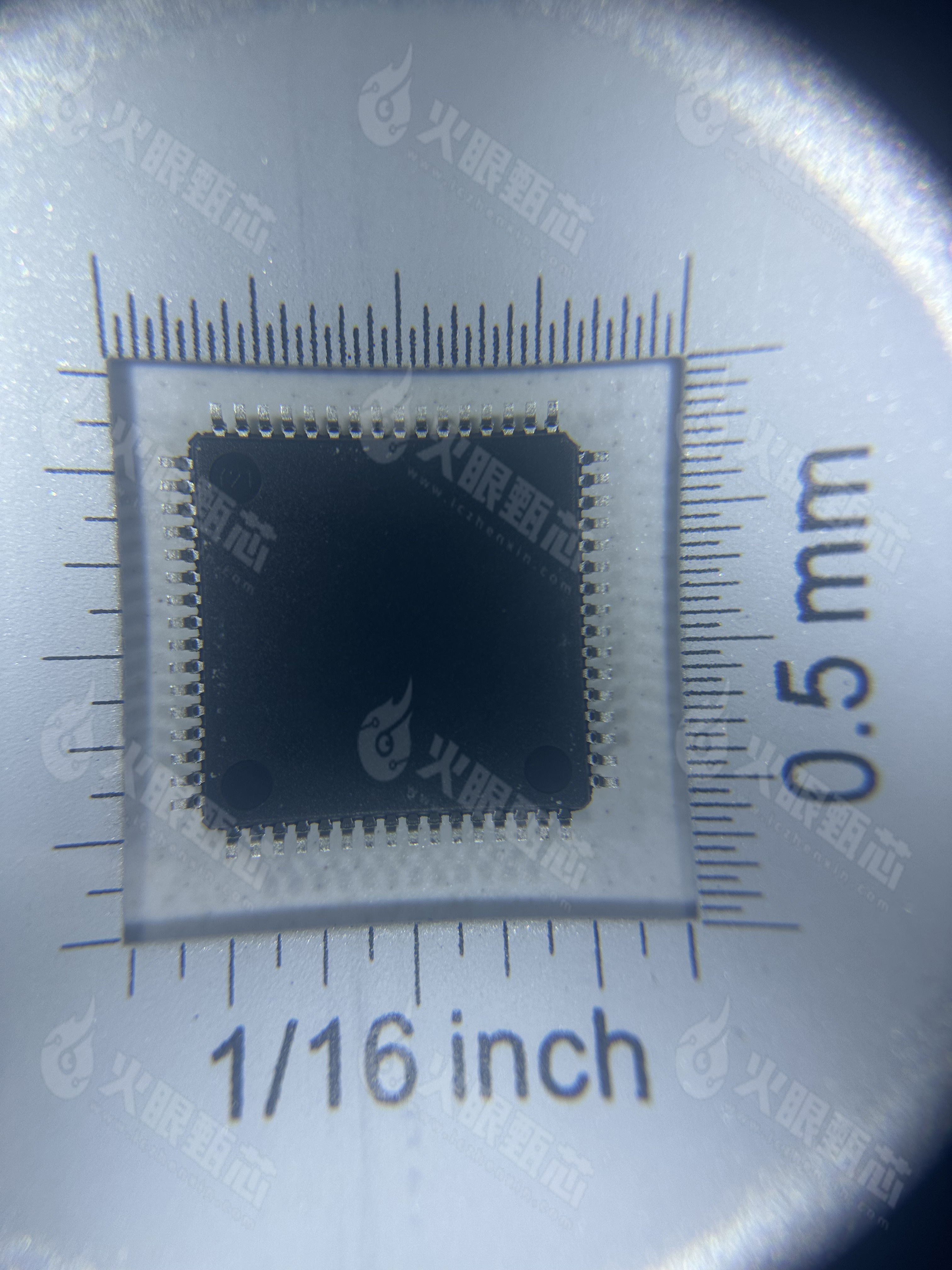 R5F51306BDFK