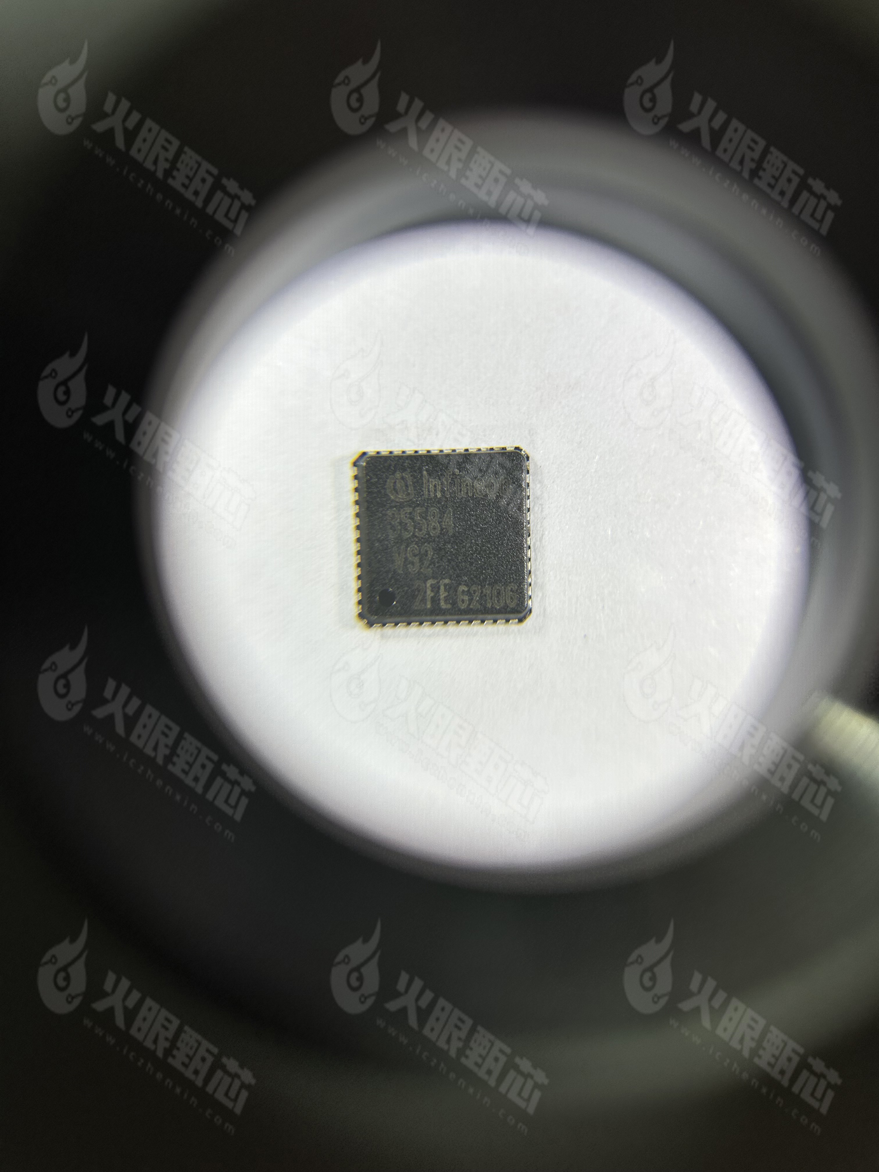 TLF35584QVVS2
